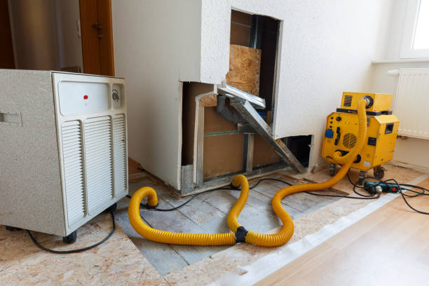 Best Crawl Space Mold Remediation  in Orland, CA